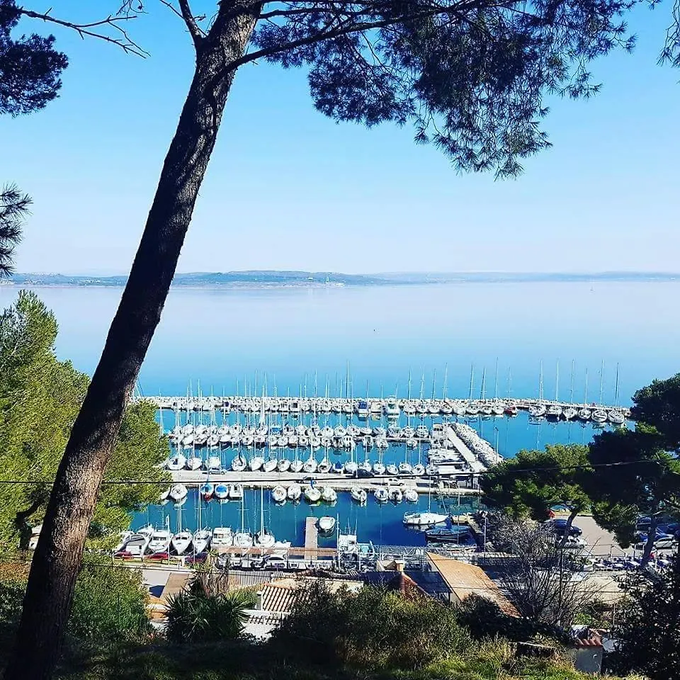 Pine And House Direction With Private Jacuzzi - Villa Istres