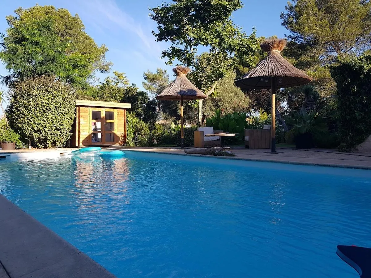 Pine And House Direction With Private Jacuzzi - Villa Istres